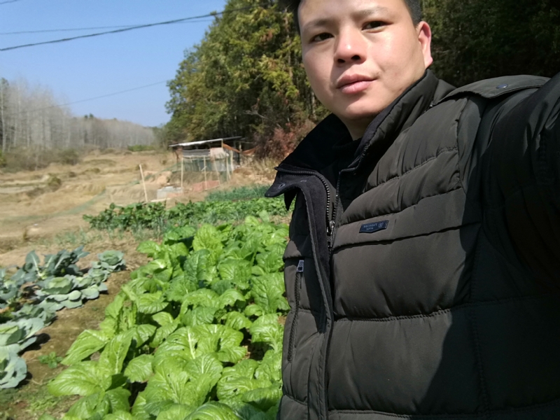 倔强的驴的第一张照片--金门相亲网