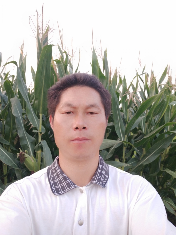 四海游龙的第一张照片--金门相亲网