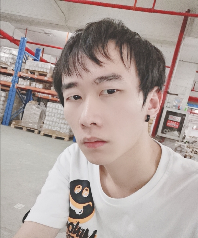 巷子里的猫的第一张照片--金门相亲网