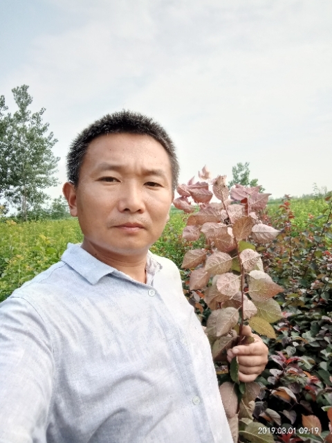 孩子爸的第一张照片--金门相亲网