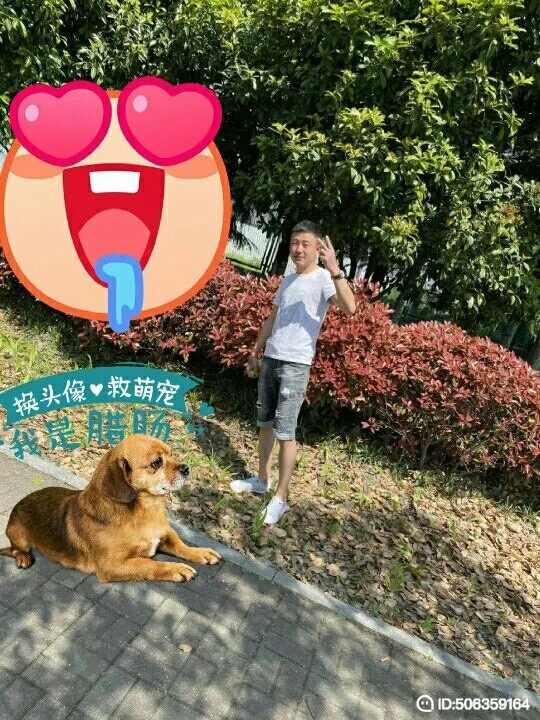 我若不坚强谁替我勇敢的第一张照片--金门相亲网